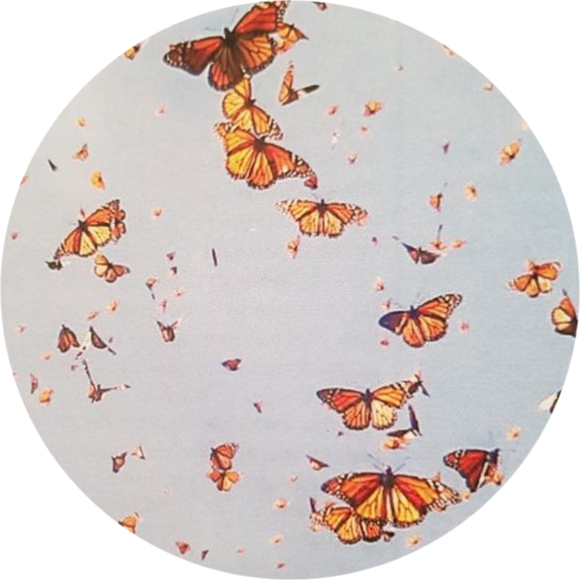 butterfly aesthetic tumblr freetoedit sticker by @g_danesin