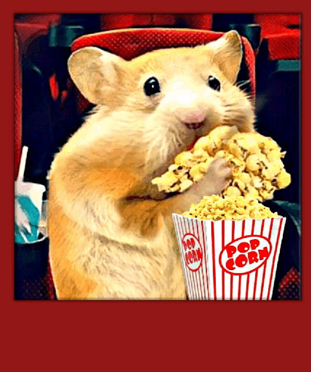 Popcorn Movietheatre Gif By Parietal Imagination Art Popcorn Movietheatre Gif By Parietal Imagination Art