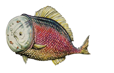fishinfish freetoedit