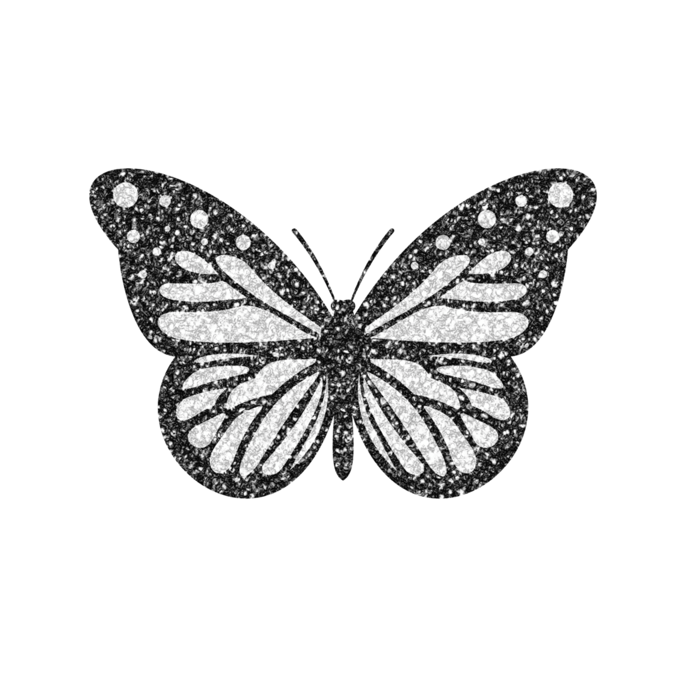 Черная бабочка 2021. Красивая черная бабочка. Бабочка тату черно белая. Бабочка рисунок. Тату бабочка чб.