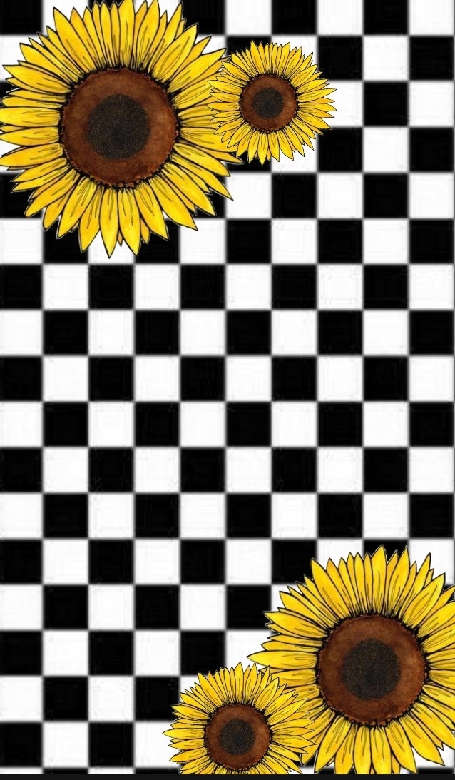 sunflower checkered