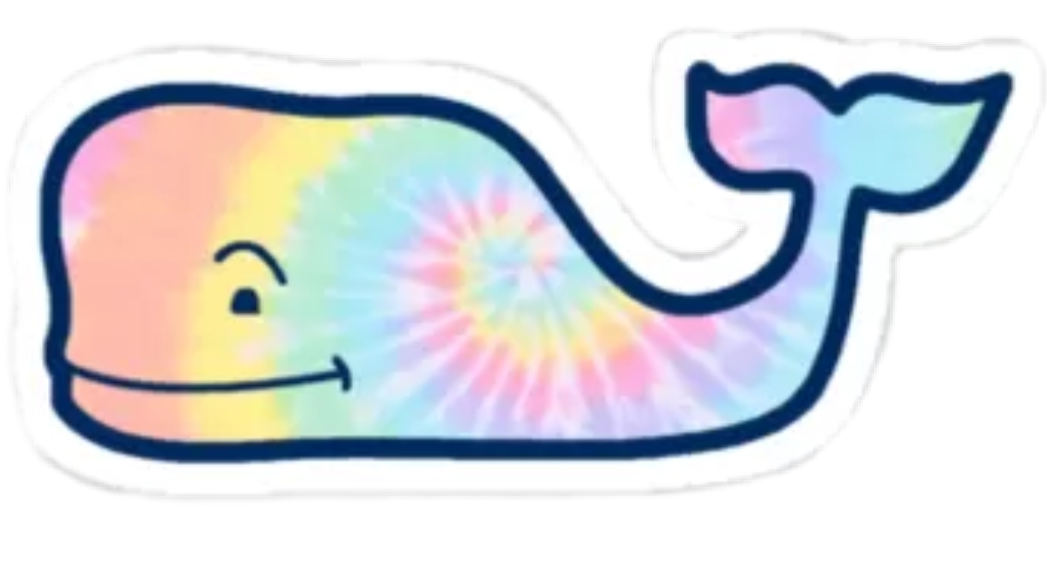 popular and trending vscostickers stickers on picsart