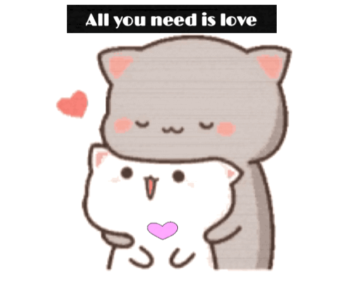 Love Cats Gif By Madison