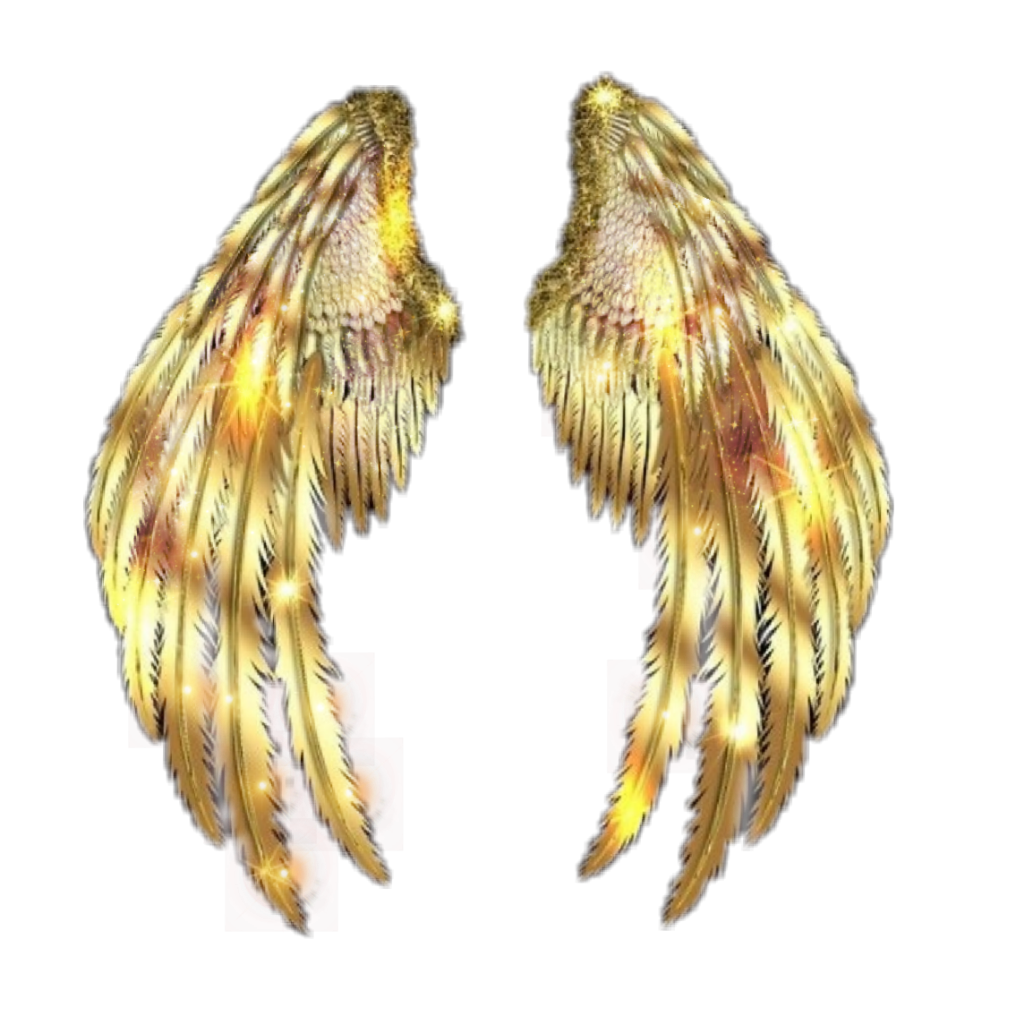 Золотистые крылья. Золотые Крылья. Золотые Крылья ангела. Золотые ангельские Крылья.