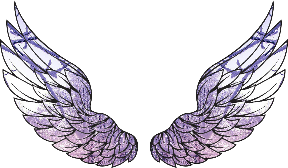 wings - Sticker by gacha cuty