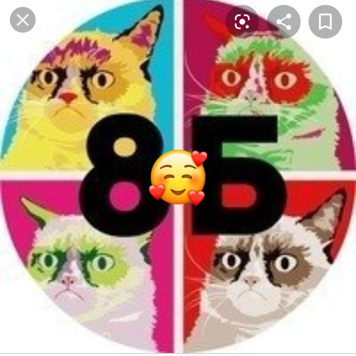 8 Б Класс