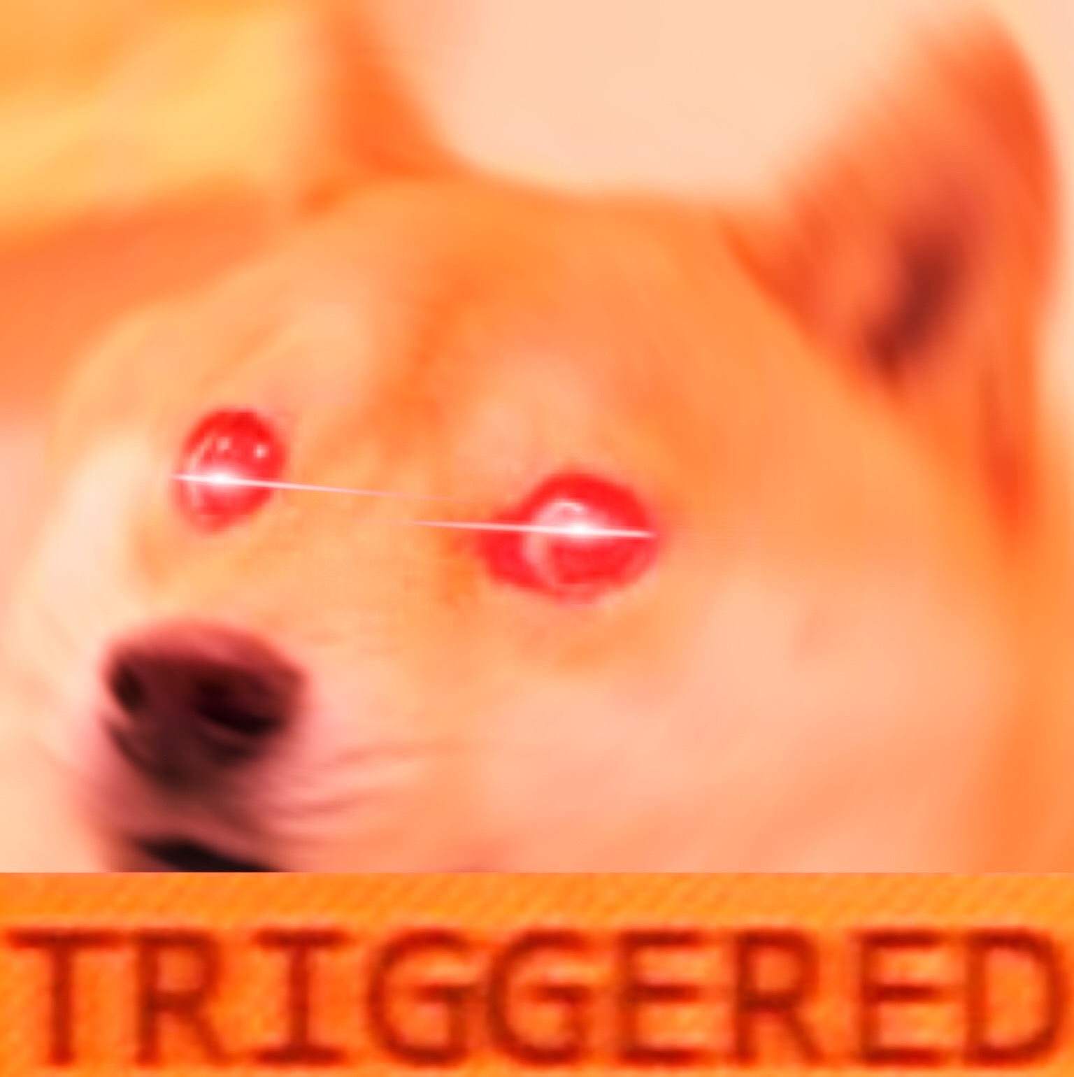 305651008302201.jpg?c256x256