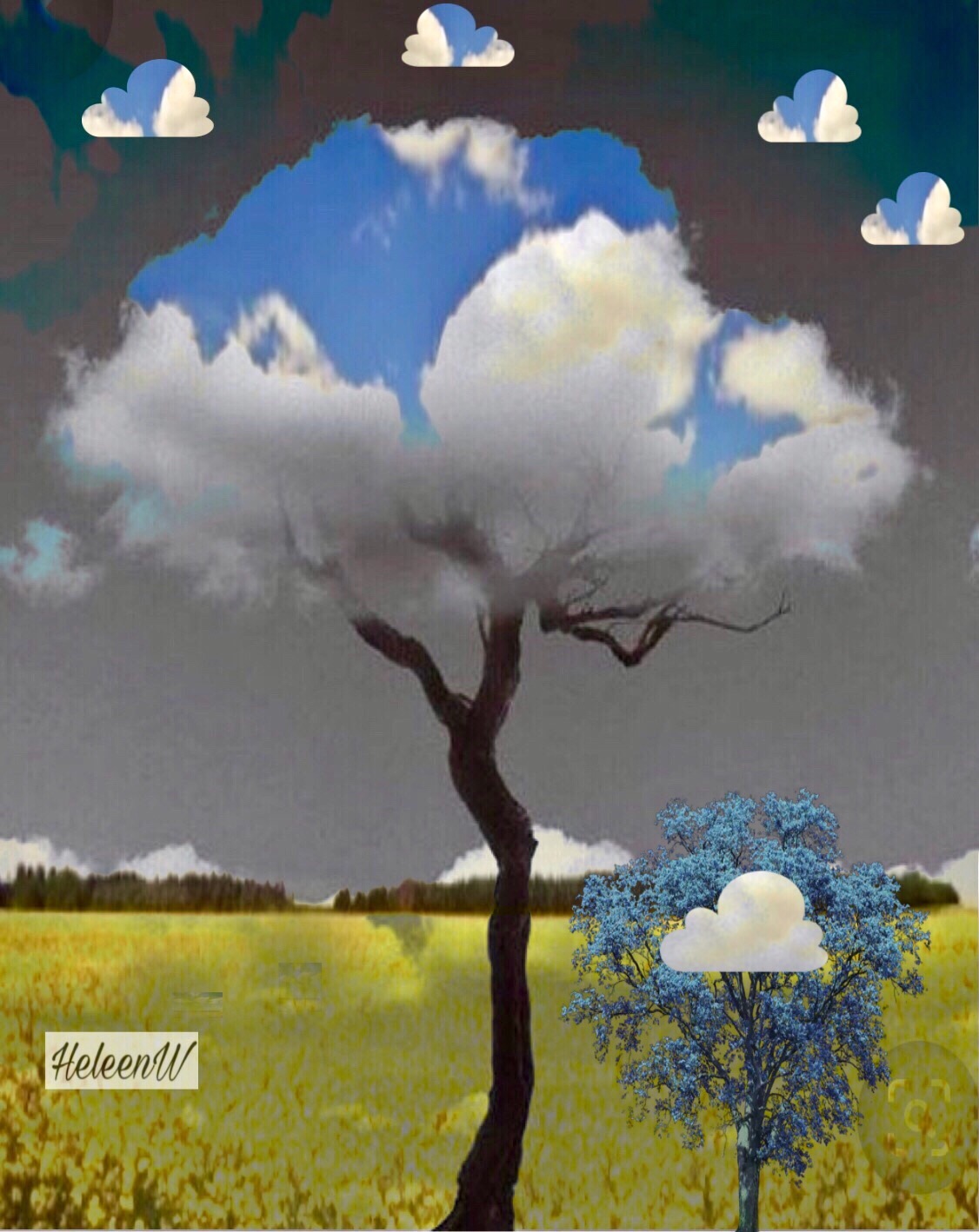 vipshoutout myedit landscape doubleexposure digitalart freetoedit