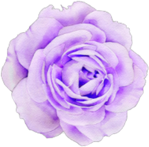 pastel purple flower freetoedit sticker by @willow_editz