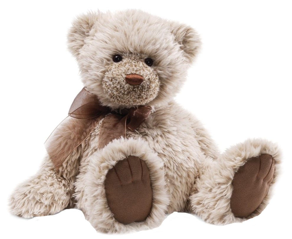 Teddy s bear. Тедди Беар. Плюшевый мишка Тедди. Медведь Teddy Bear. Мишки Тедди Беар.