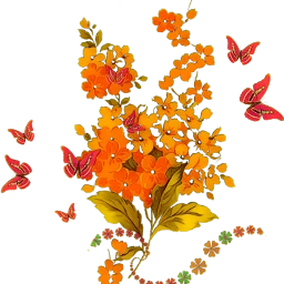 flowers orange butterflies freetoedit scorange