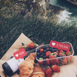 freetoedit picnic picknick croissants strawberry