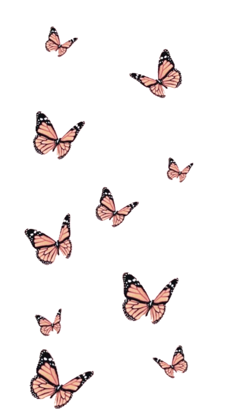 Aesthetic Butterfly - Largest Wallpaper Portal