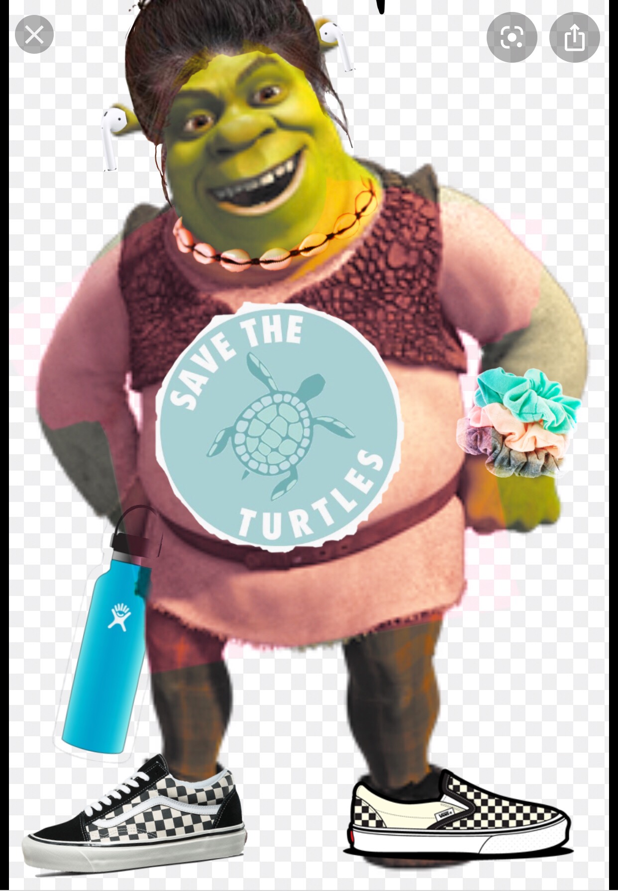 shrek vsco girl