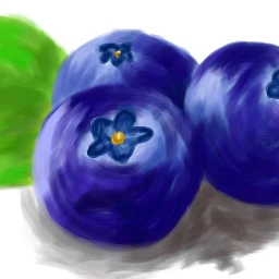 blaubeeren@verenaweber2 dcmyfavfruit myfavfruit blaubeeren