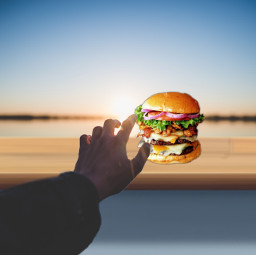 irclight light freetoedit hungry hamburger