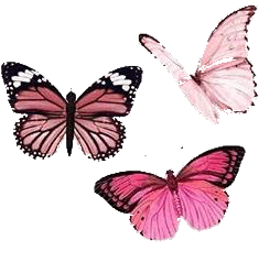 butterfly butterflys complex edit tumblr schmetterling freetoedit