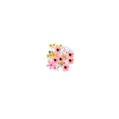 sticker flower flowers pink white freetoedit