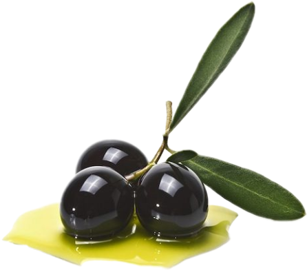 aceituna freetoedit scolives olives sticker by @ivan_skott93