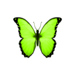 lime neongreen green butterflies greenbutterfly freetoedit