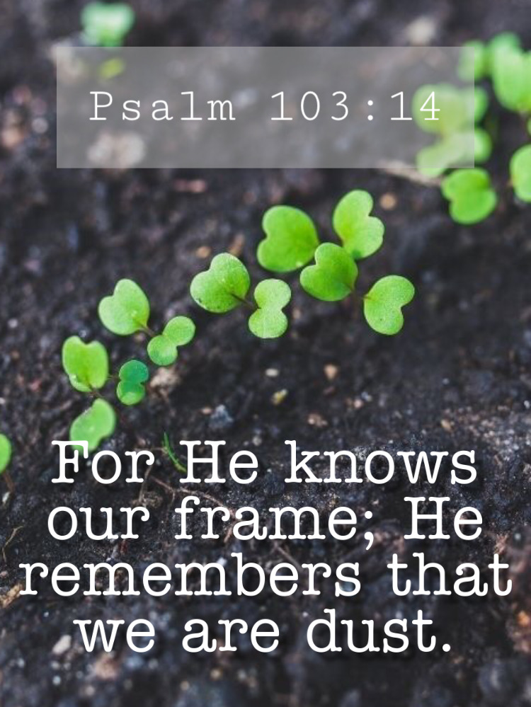 frame-dust-knowing-remembers-bibleverse-psalms-for-he-knows-our