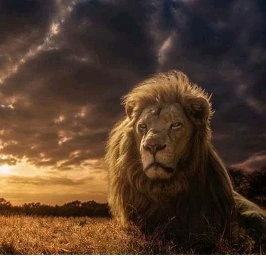 308797401012201.jpg?c256x256