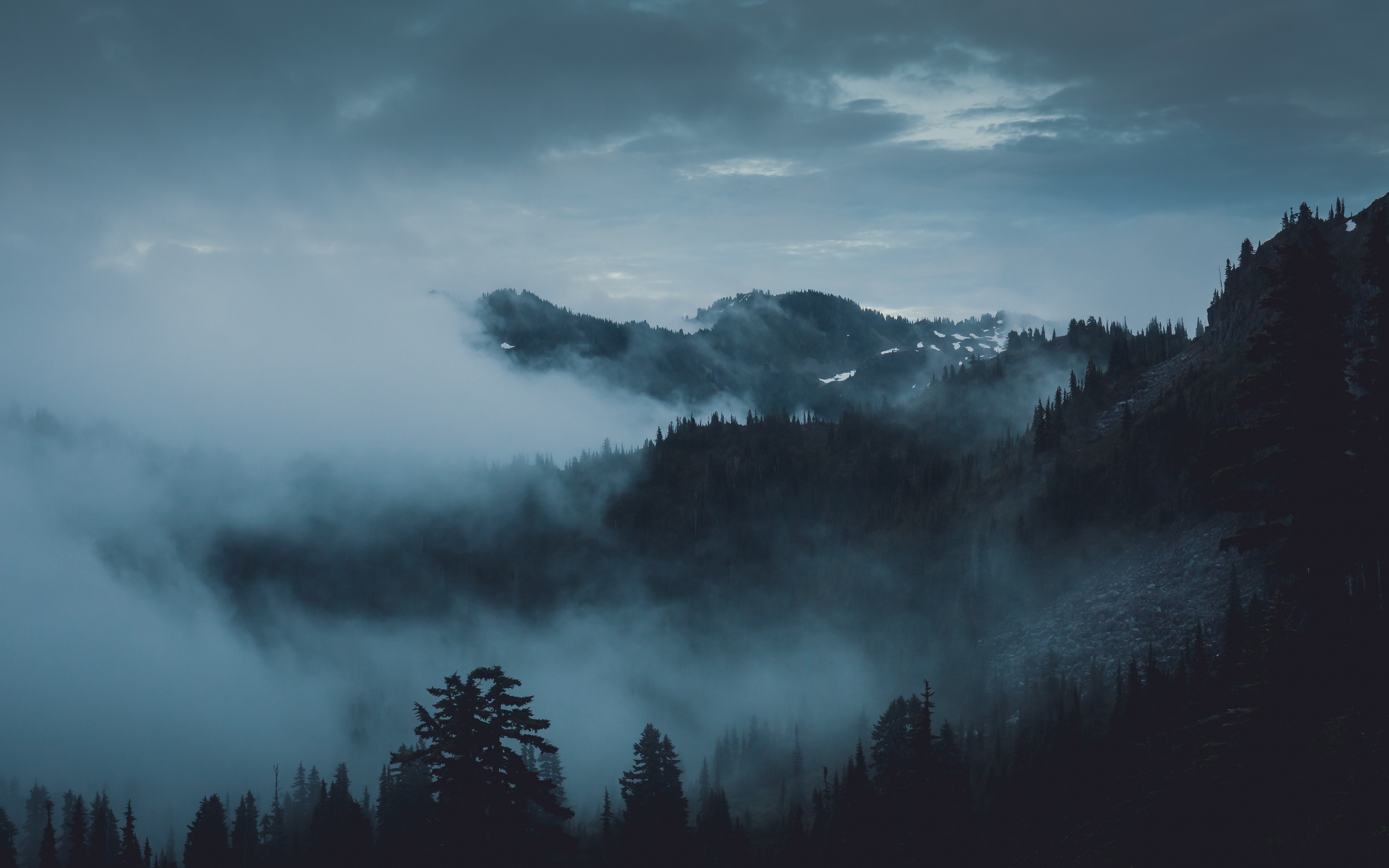 Cold and dark. Лес горы туман. Горы в тумане. Мрачный пейзаж. Лес в тумане.