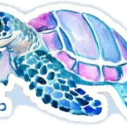 turtle turtleisareptile blue freetoedit screptile
