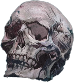 freetoedit scskulls skulls