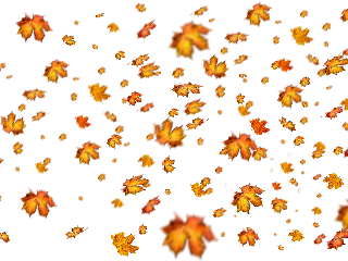 sticker leaf autumn autumnleaf aesthetic freetoedit. freetoedit