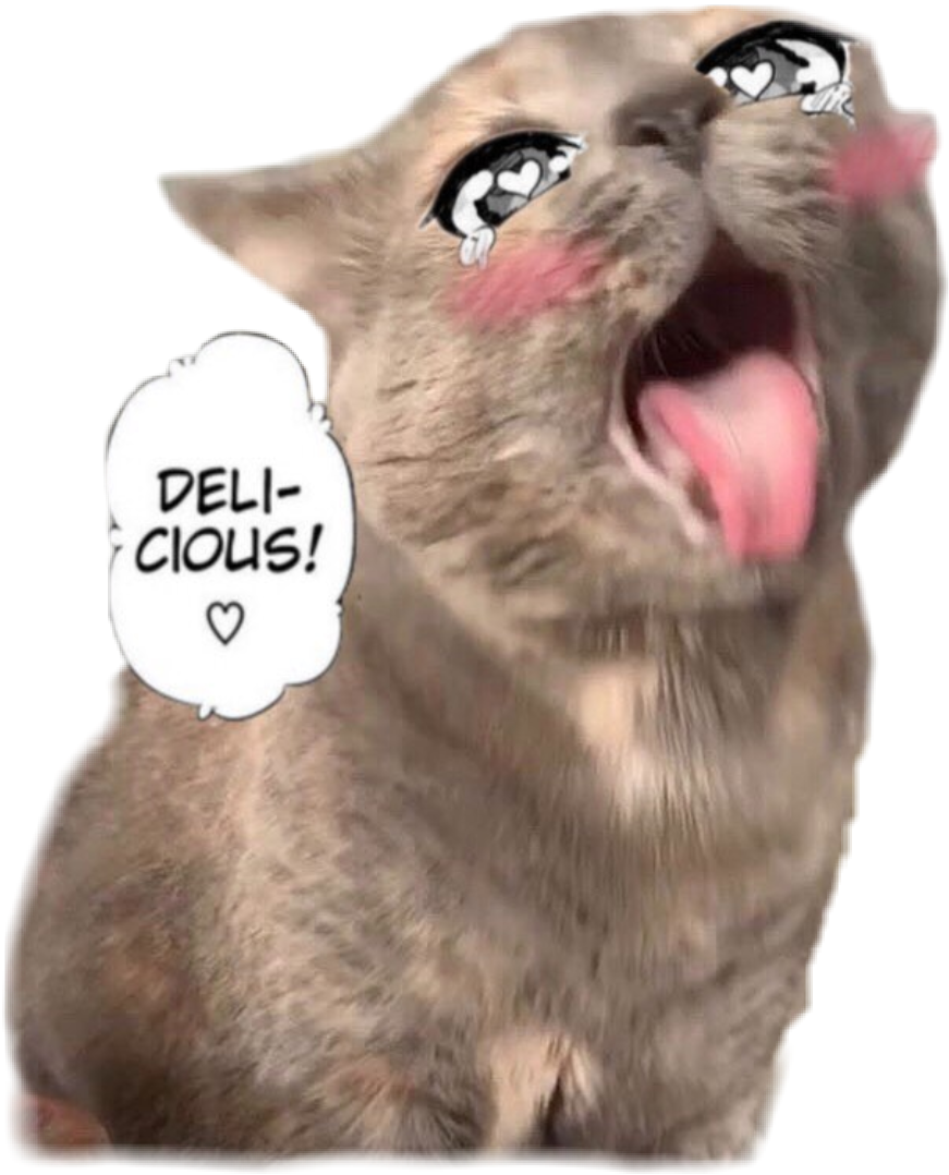 Ahegao Cat Anime Kitty Freetoedit Ahegao Sticker By M3lkz 