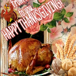 fcthanksgiving thanksgiving