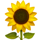 emoji iphone apple sunflower flower freetoedit
