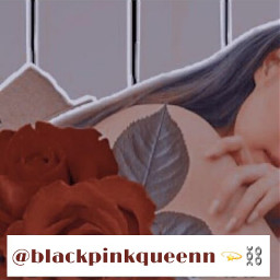 blackpink blackpinkinyourarea lisa rose rosé freetoedit