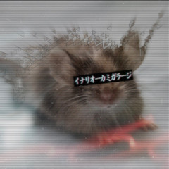 aestheticmouse