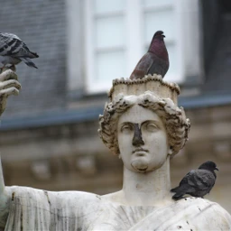 pcstatue statue pigeon photography