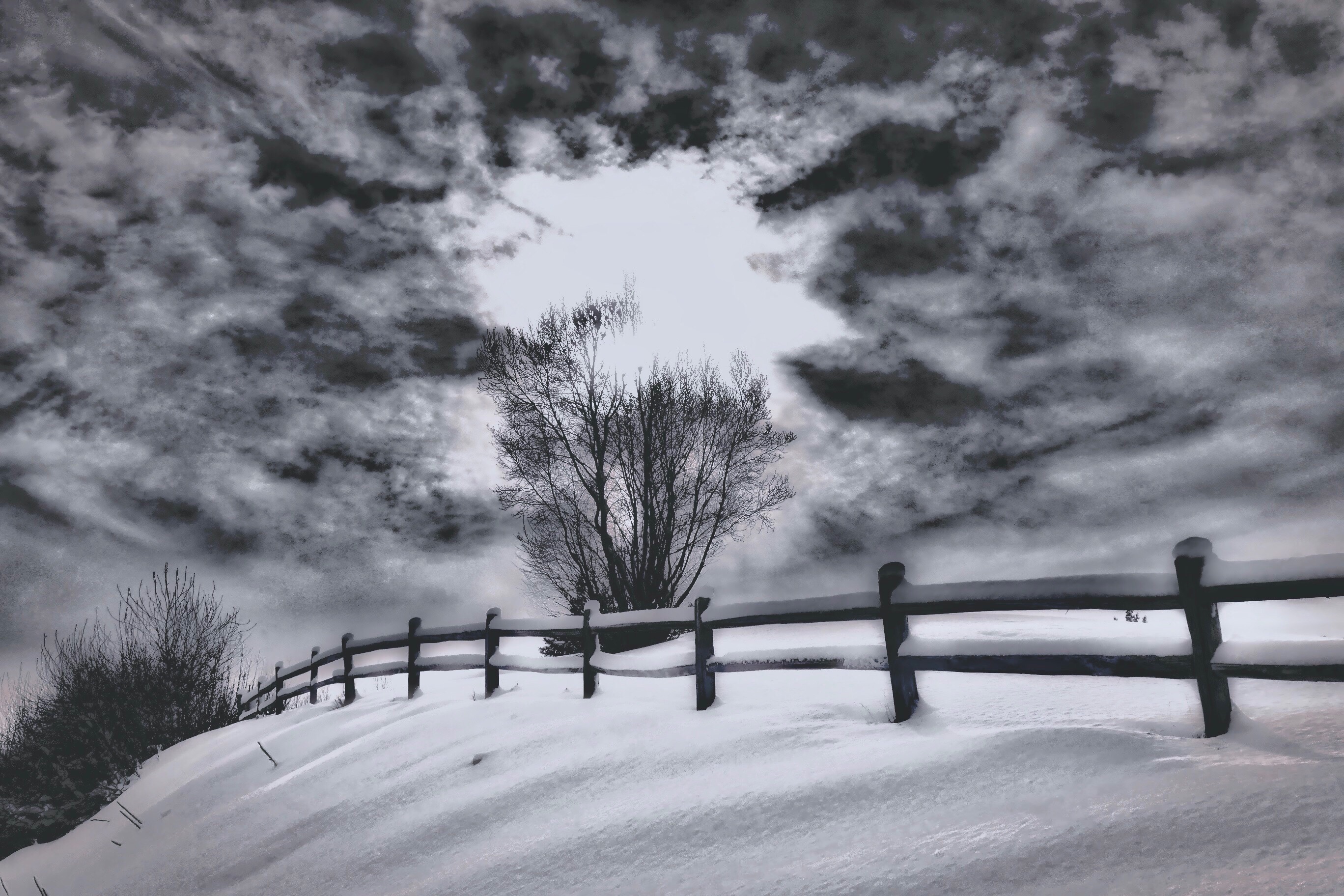 angeleyesimages snow winter nikon nikonus freetoedit