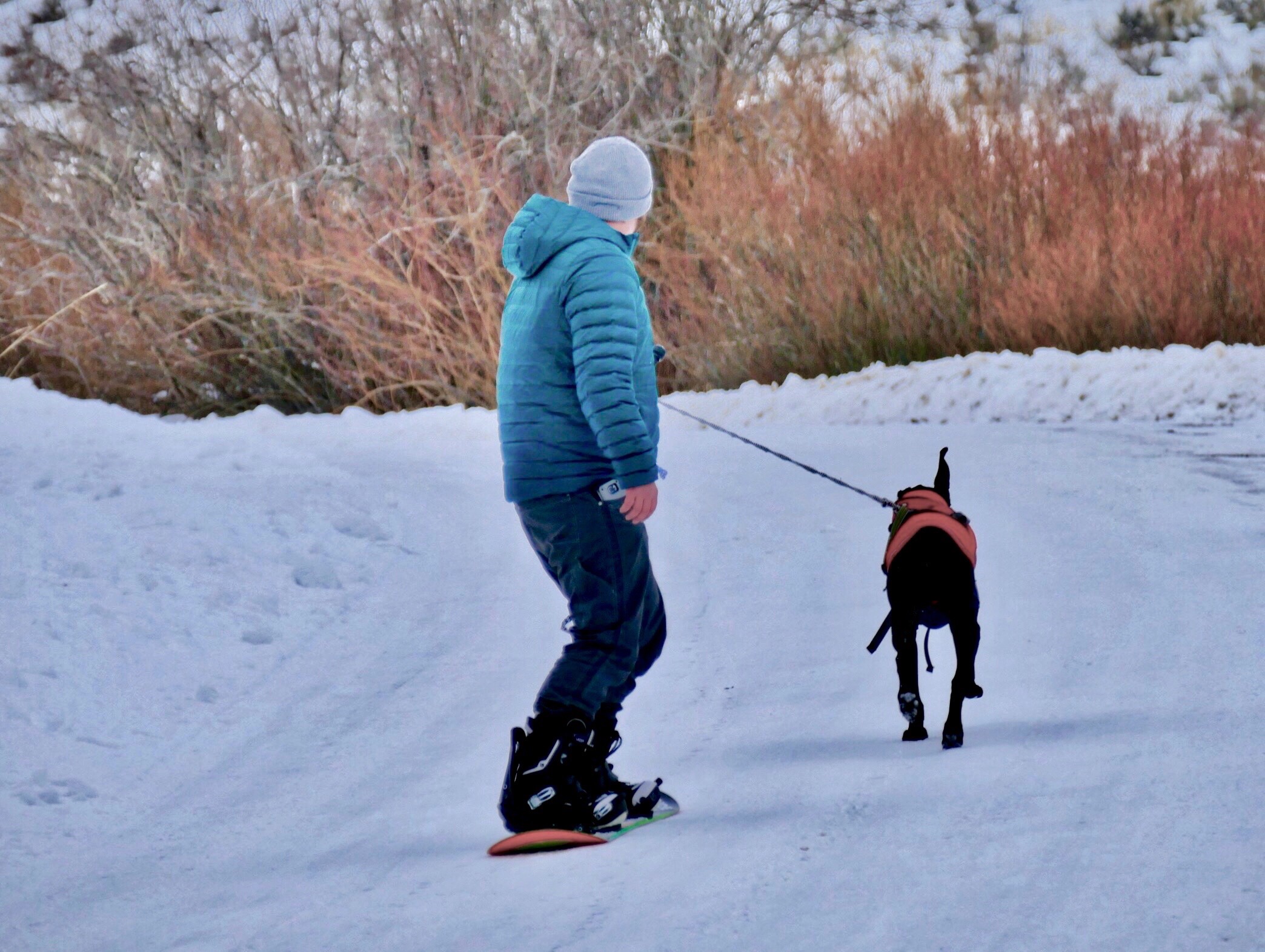 angeleyesimages snow winter snowboard snowboarding freetoedit