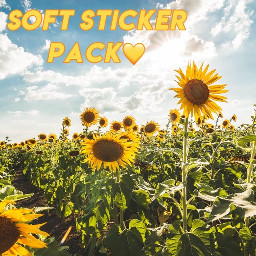 freetoedit sunflower soft stickerpack softie
