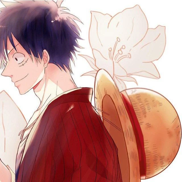 Matchingicons Matching Icons Onepiece Image By Bro Matchingicons Matching Icons Onepiece Image By Bro
