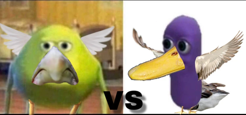 C G 1qnshtjdjm C G 1qnshtjdjm