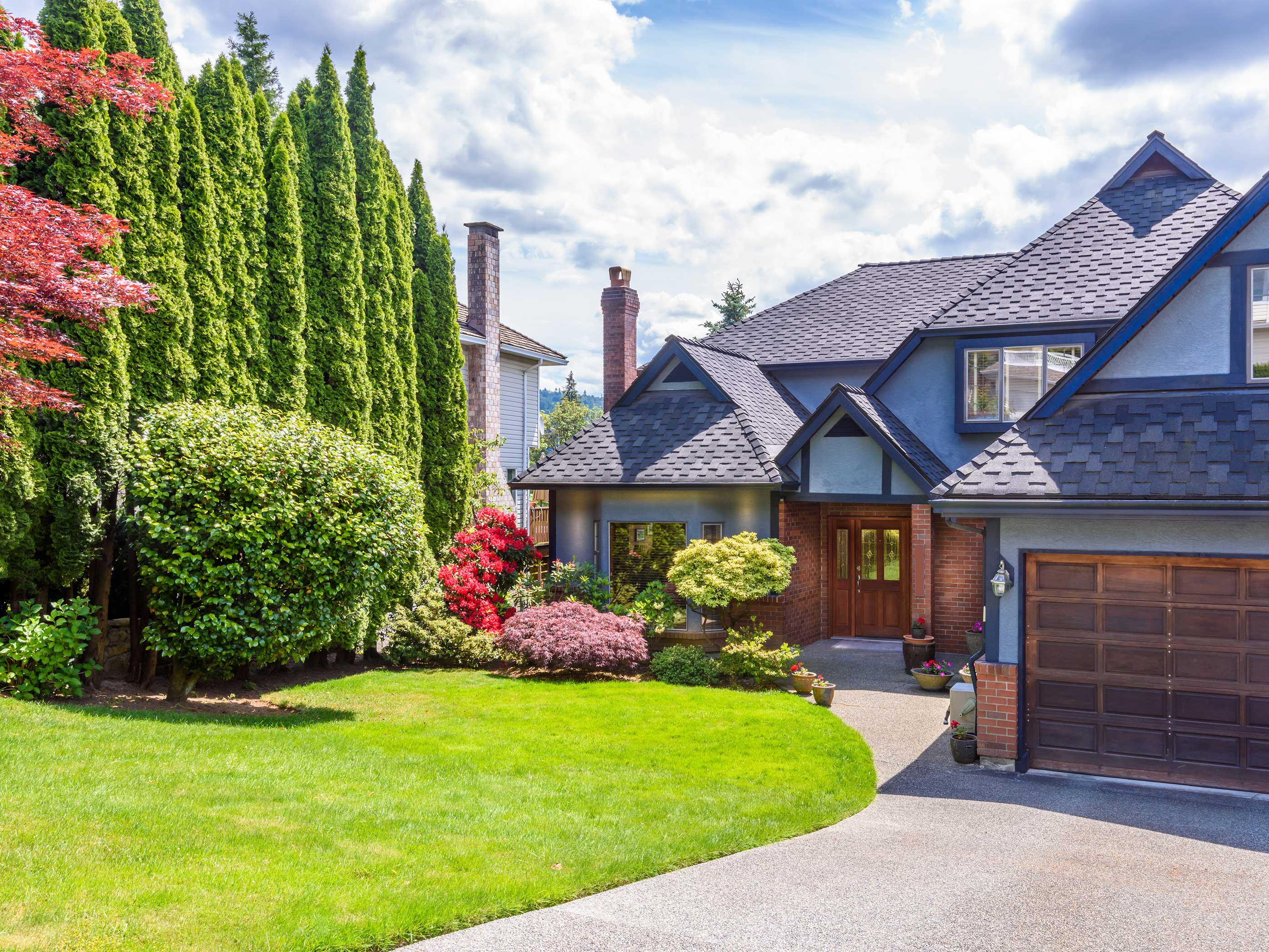 houses near the greenery