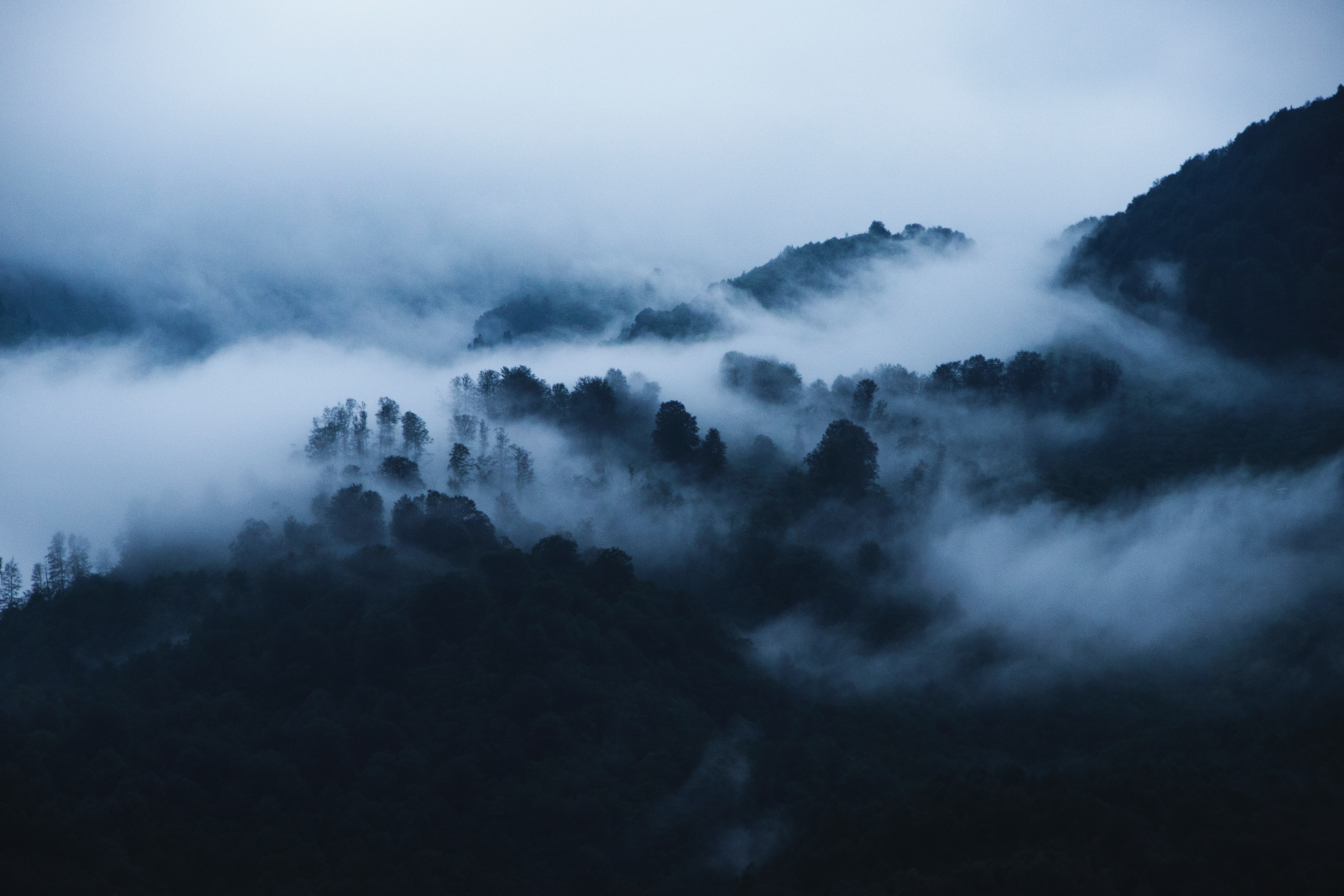 Fog mountains. Фон лес туман горы. Горы в тумане. Туманный пейзаж. Горы в тумане обои.