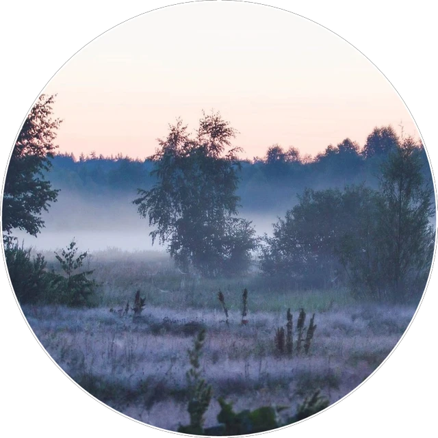 Forest Aesthetic Aestheticedit 90s Sticker By L Ok L Forest Aesthetic Aestheticedit 90s Sticker By L Ok L