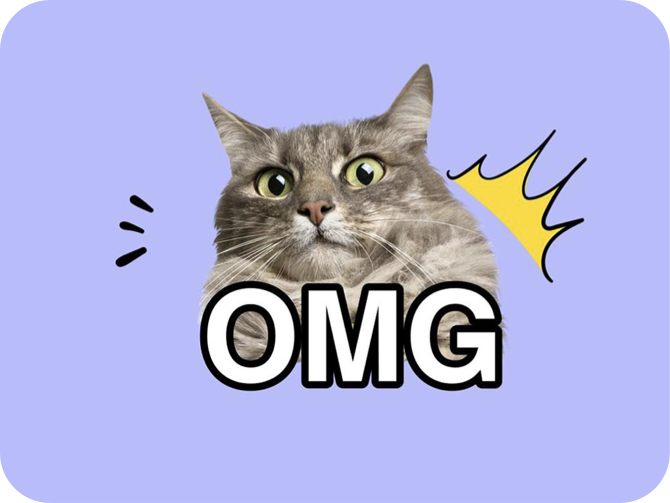cat meme with omg text and background