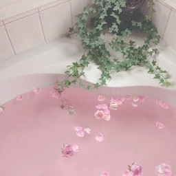 aesthetic water pink plants roses freetoedit