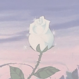 freetoedit rose whiterose aesthetic