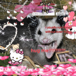 vent webcore lovecore opossum possum freetoedit