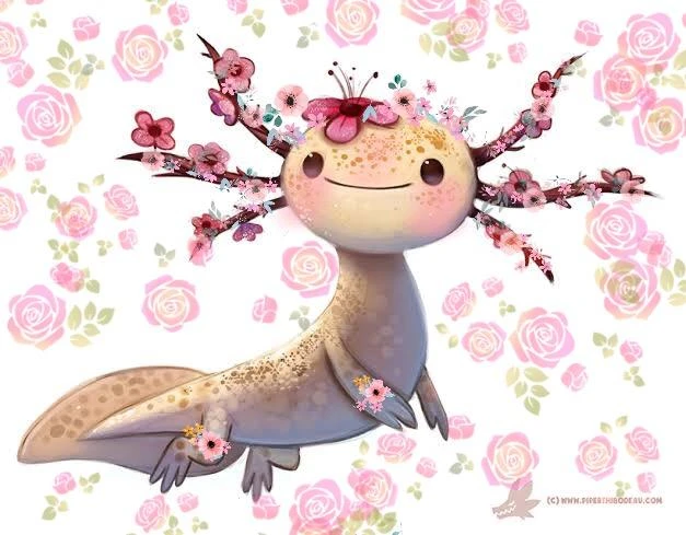 Kawaii Axolotl Flora Fauna Image By Keana Du Plessis Kawaii Axolotl Flora Fauna Image By Keana Du Plessis