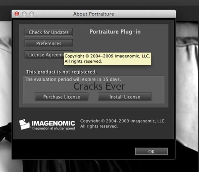 imagenomic portraiture 2 license key for mac